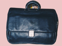  Executive Portfolio Bags (1511)